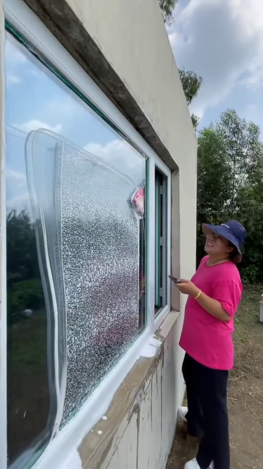 Smart Window Cleaning Robot with Remote Control