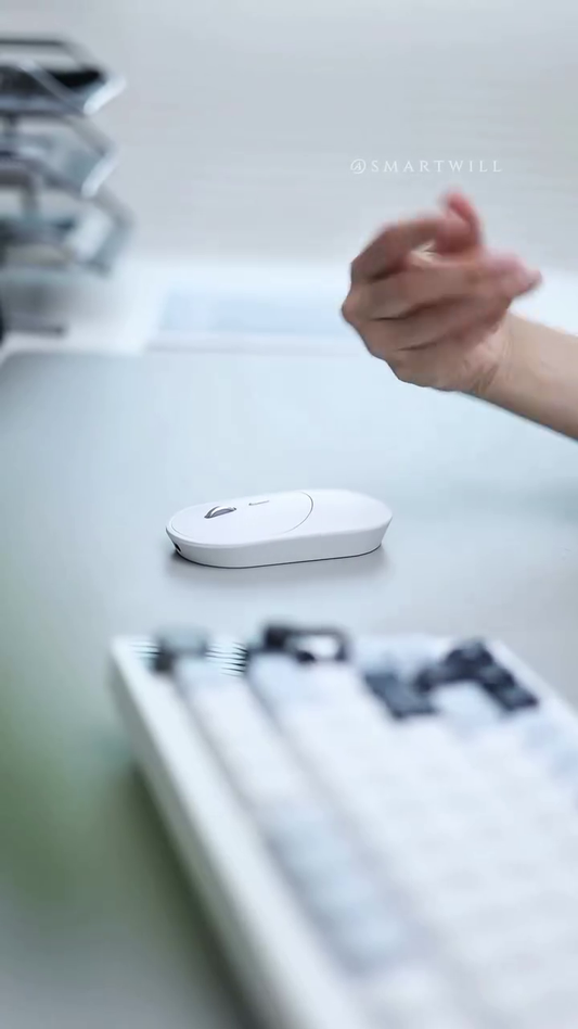 Ergonomic Vertical Wireless Mouse