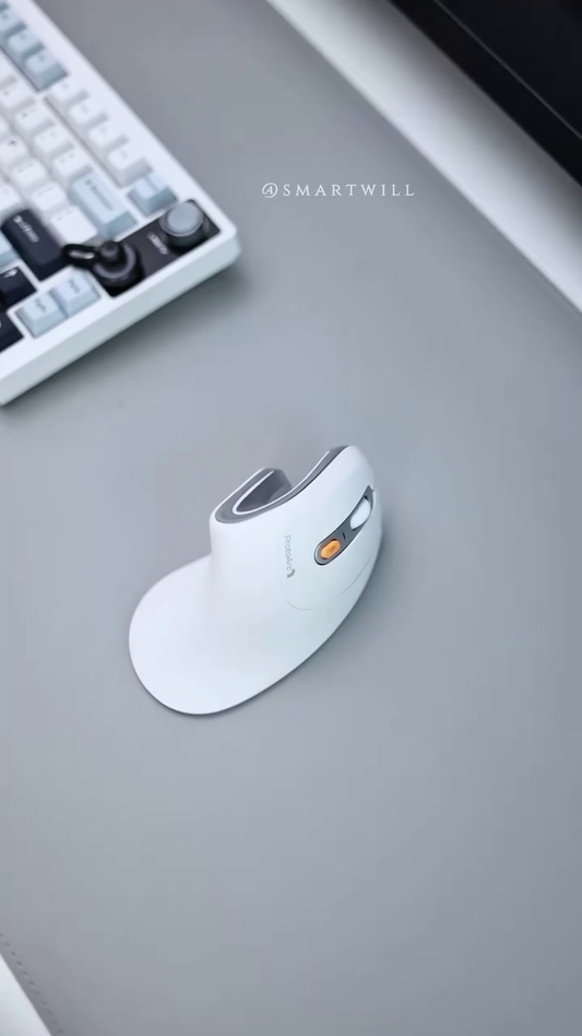 Ergonomic Vertical Wireless Mouse