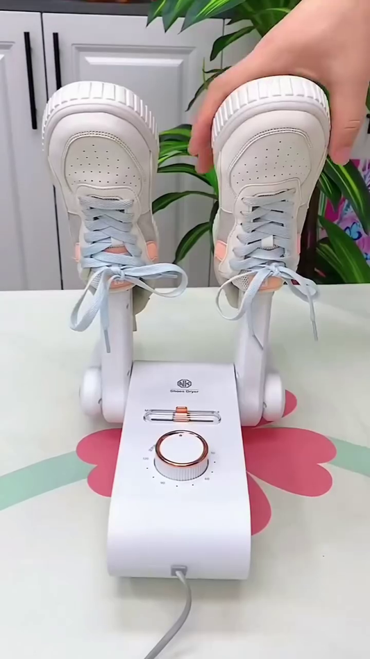 Electric Shoe Dryer & Deodorizer with Timer Control
